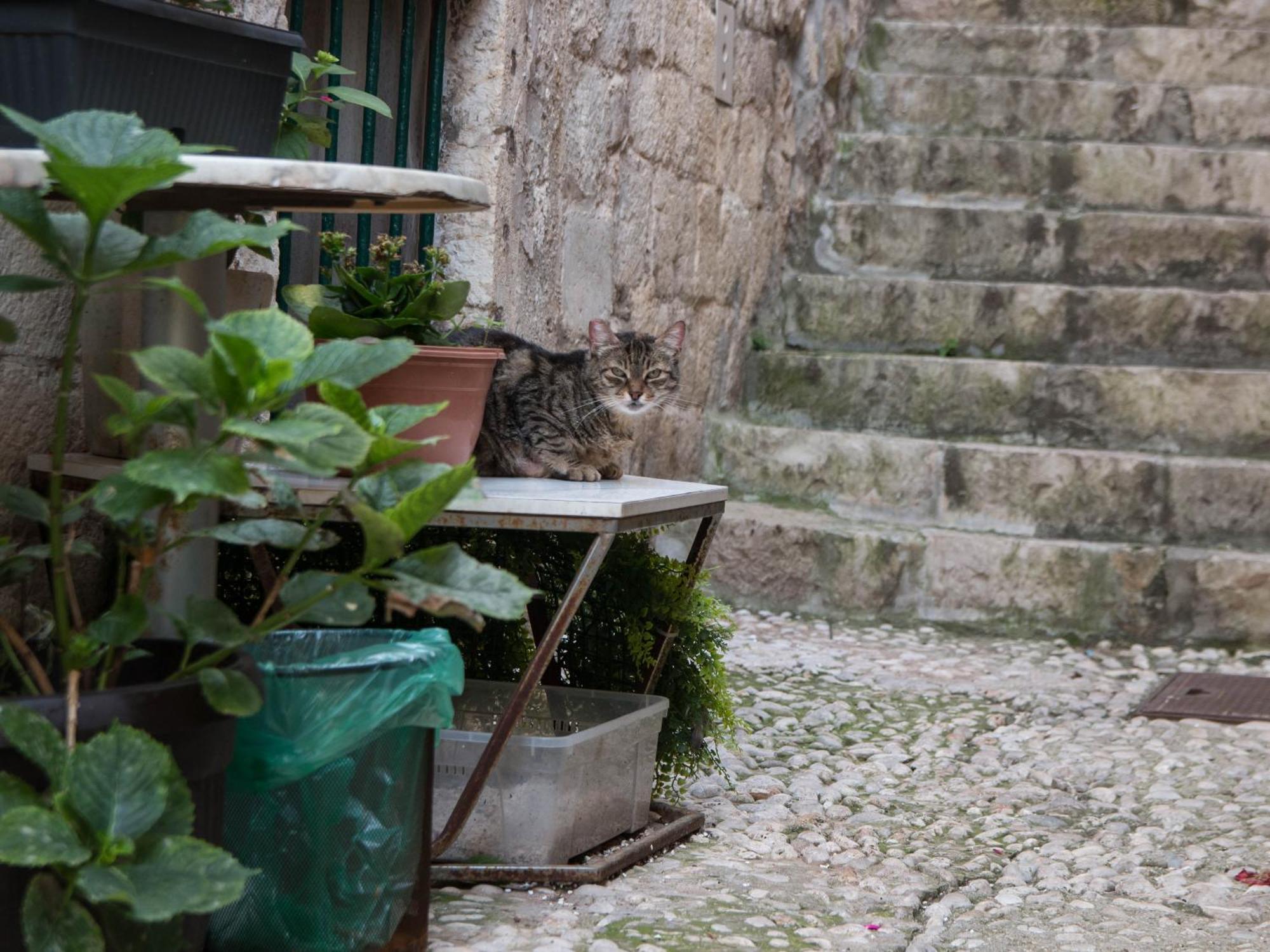 Ella La Bella Iii Old Town * Ragusa